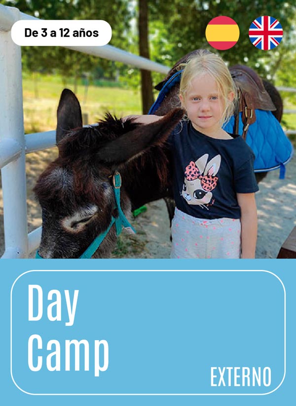 Day Camp
